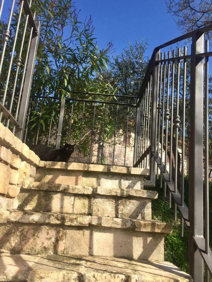 Lavanda E Rosmarino Home Asyż Zewnętrze zdjęcie