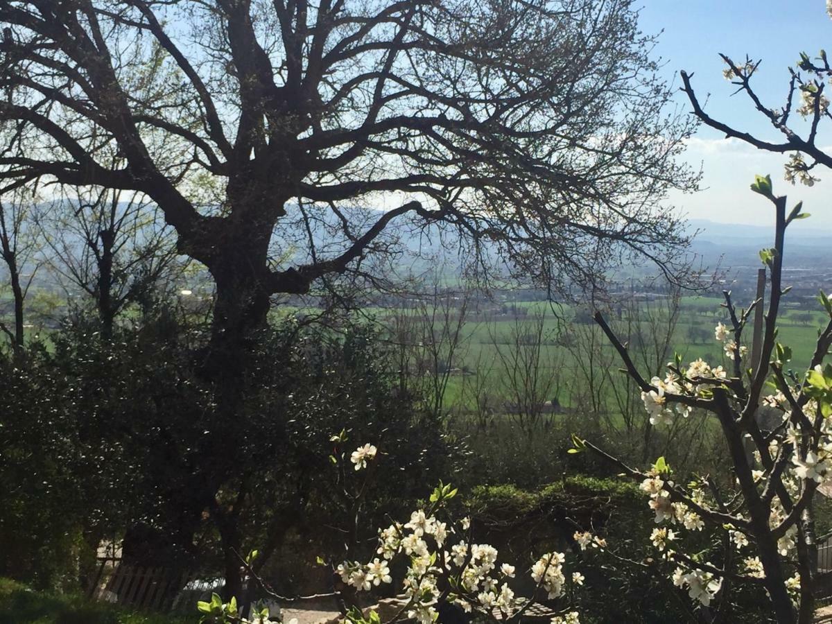 Lavanda E Rosmarino Home Asyż Zewnętrze zdjęcie