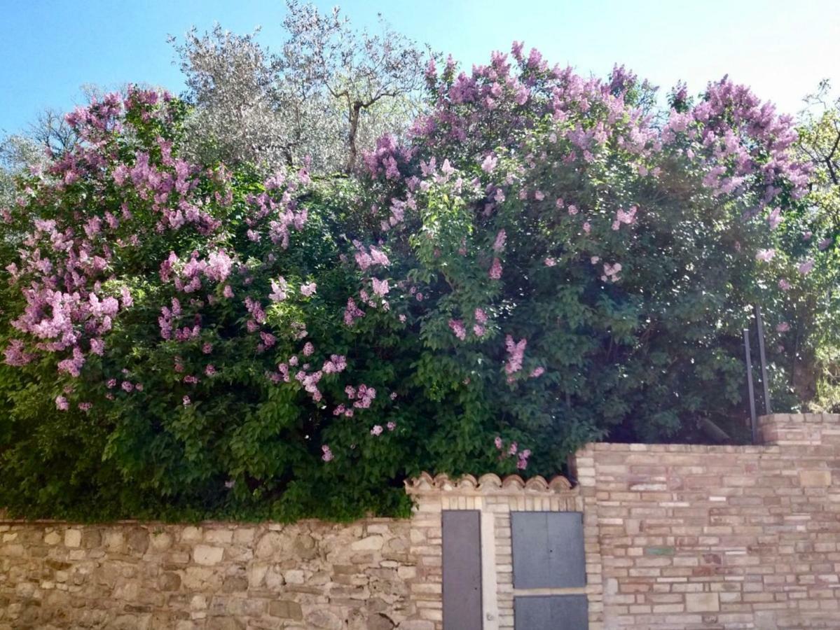 Lavanda E Rosmarino Home Asyż Zewnętrze zdjęcie